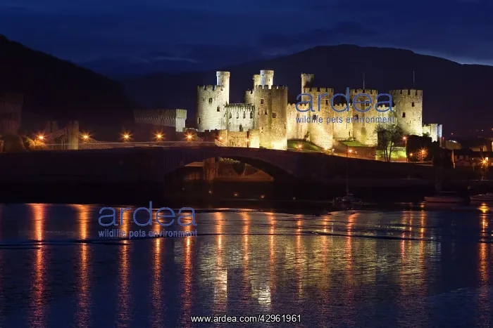 : Conway Castle - at dusk with reflections in estuary : Conway Castle - at dusk with reflections in estuary
