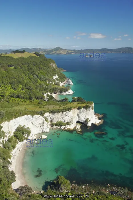 : Cook Bluff, near Cathedral Cove, Coromandel : Cook Bluff, near Cathedral Cove, Coromandel