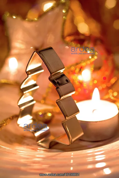 : Cookie cutter in the shape of a Christmas tree on : Cookie cutter in the shape of a Christmas tree on