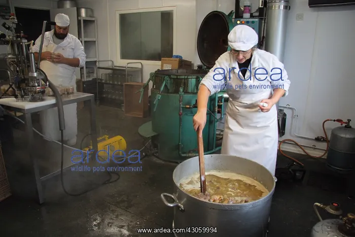 : Cooking and preparation of various parts of Ducks : Cooking and preparation of various parts of Ducks