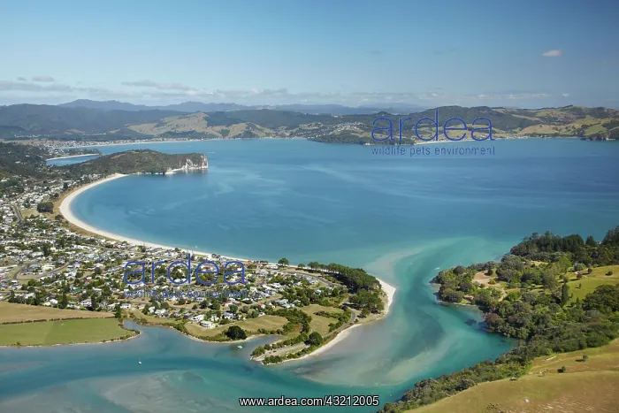 : Cooks Beach, Coromandel Peninsula, North : Cooks Beach, Coromandel Peninsula, North