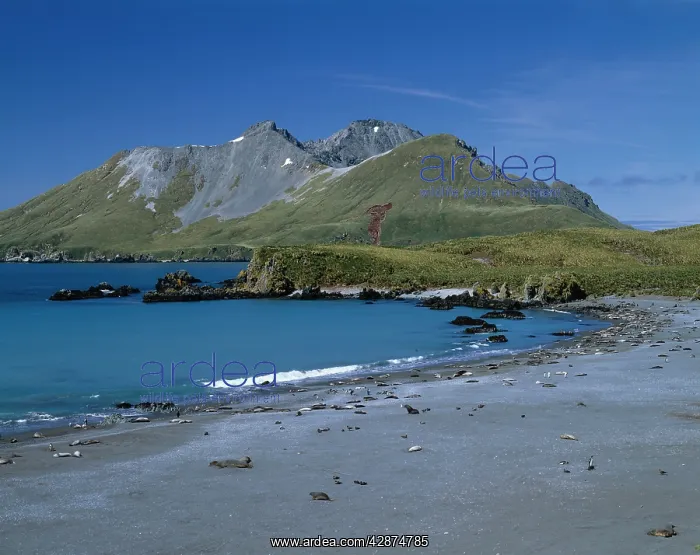 : Cooper Bay and Cooper Island : Cooper Bay and Cooper Island