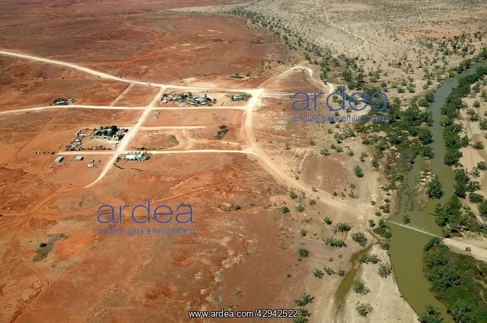 : Cooper Creek and Innamincka on the Strzelecki Track : Cooper Creek and Innamincka on the Strzelecki Track