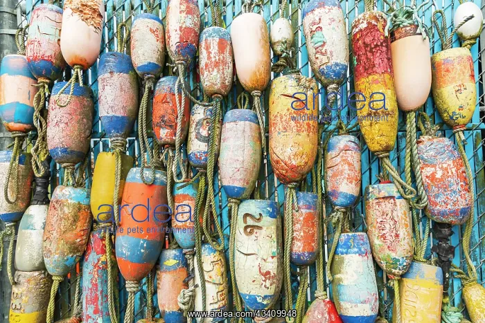: Coos Bay, Oregon, USA. Colorful crab trap floats : Coos Bay, Oregon, USA. Colorful crab trap floats