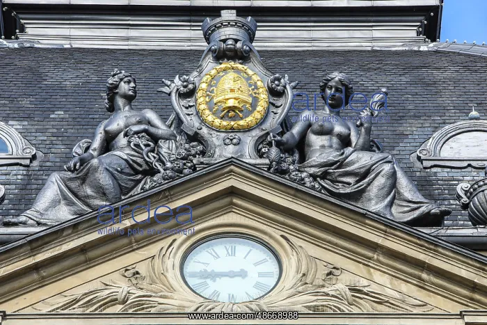 : Copenhagen, Denmark. Clock tower, royal coat of arms : Copenhagen, Denmark. Clock tower, royal coat of arms