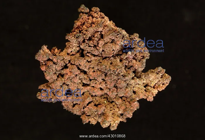  : Copper Bisbee, Arizona, USA