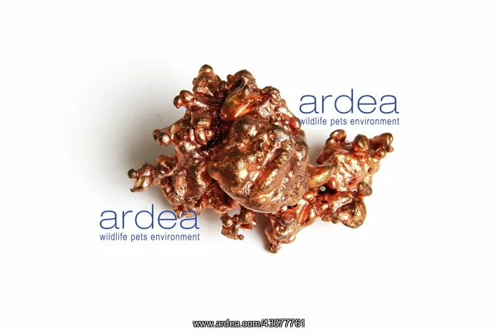  : Copper specimen. Copper is one of only a few metals to occur in nature in elemental 