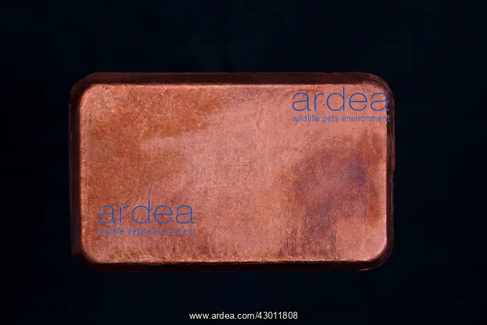  : Copper Ingot