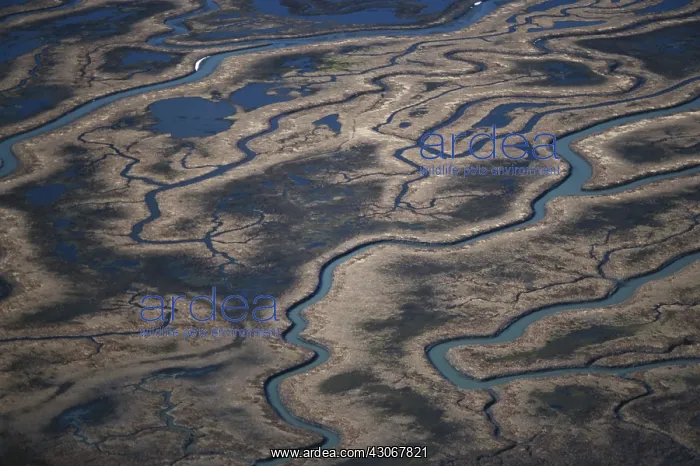  : Copper River Delta