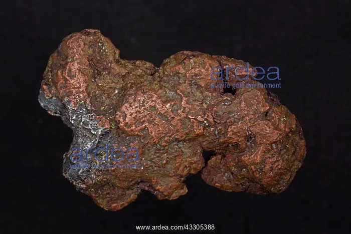 : Copper and Silver halfbreed Nugget : Copper and Silver halfbreed Nugget