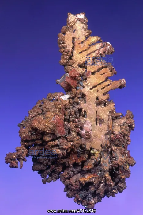 : Copper from Zambia : Copper from Zambia