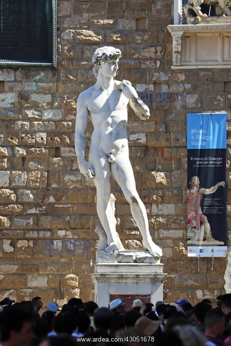: Copy of the Michelangelo's Statue of David in the : Copy of the Michelangelo's Statue of David in the