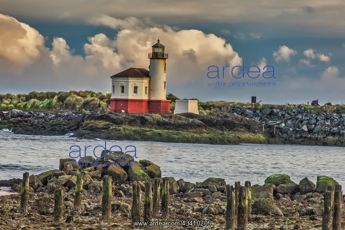 : Coquille River Lighthouse, Bandon, Oregon : Coquille River Lighthouse, Bandon, Oregon