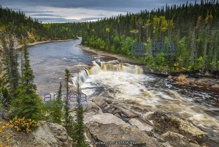 : Coral Falls on the Trout River in Canada's Northwest Territories : Coral Falls on the Trout River in Canada's Northwest Territories