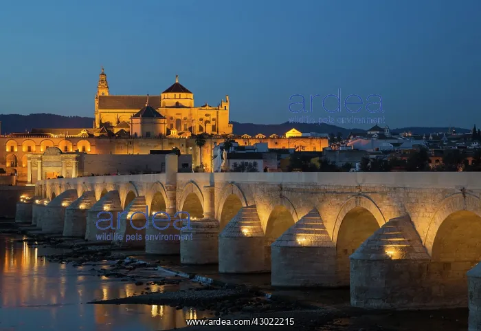 : Cordoba's Puente Romano : Cordoba's Puente Romano