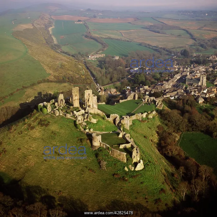 : Corfe Castle Castle, Purbeck Hills, between Wareham : Corfe Castle Castle, Purbeck Hills, between Wareham