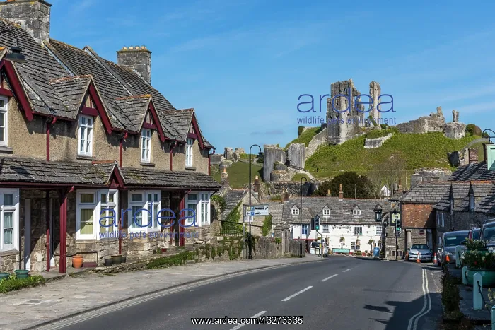 : Corfe Castle - Dorset - UK : Corfe Castle - Dorset - UK