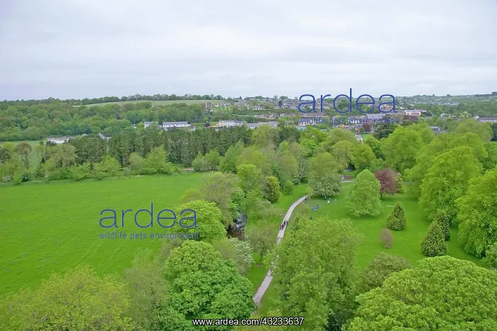 : Cork, Ireland. The infamous Blarney Castle : Cork, Ireland. The infamous Blarney Castle