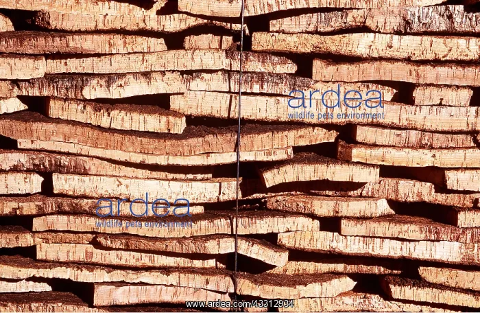: CORK OAK BARK STACK : CORK OAK BARK STACK