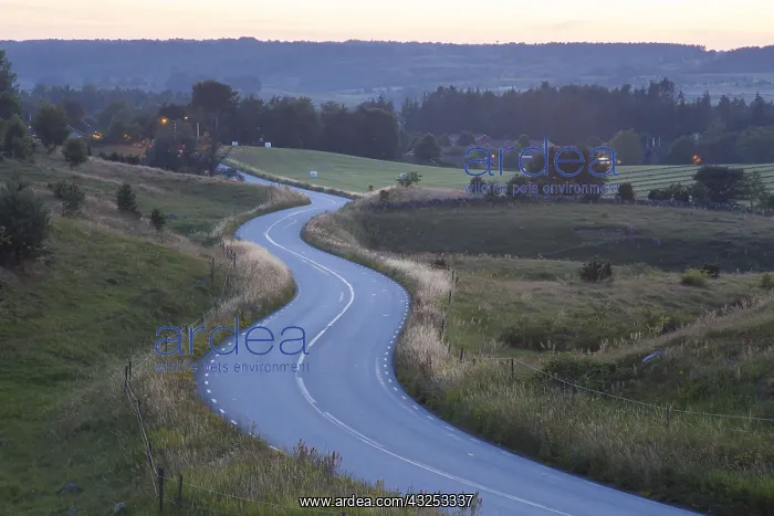  : Corkscrew road - Havaeng - Sweden