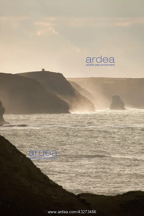  : Cornish Coast - view from Strangles