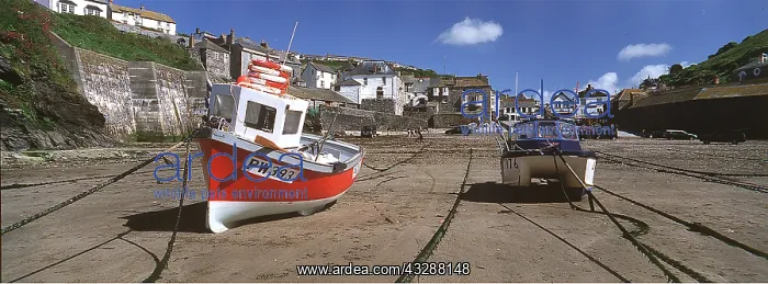 : CORNWALL - Boats at low tide at port Isaac : CORNWALL - Boats at low tide at port Isaac