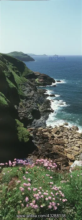 : CORNWALL - North coastal path between Port Isaac : CORNWALL - North coastal path between Port Isaac