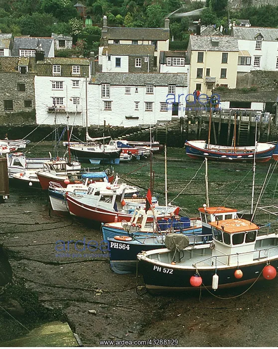 : CORNWALL - Polperro Harbour. Fishing boats at low tide : CORNWALL - Polperro Harbour. Fishing boats at low tide