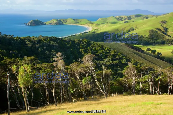 : Coromandel Coastline - bay of Port Jackson surrounded : Coromandel Coastline - bay of Port Jackson surrounded