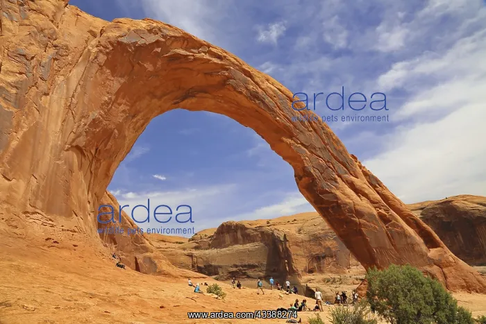  : Corona Arch