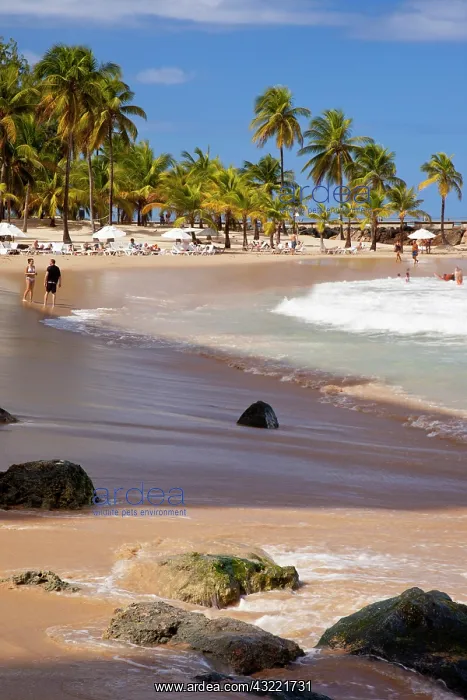 : Coronado Beach in San Juan, Puerto Rico : Coronado Beach in San Juan, Puerto Rico