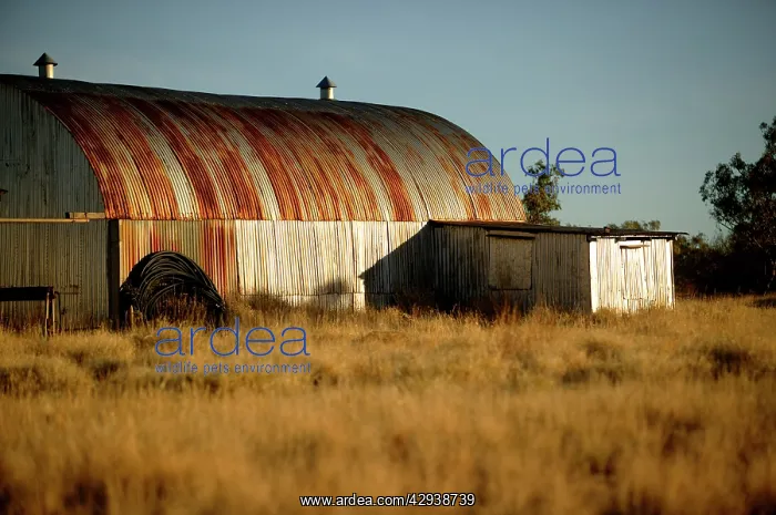 : Corrugated iron shed. Recycled WW2 Nissen hut : Corrugated iron shed. Recycled WW2 Nissen hut