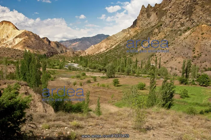 : Coruh Valley (area now largely destroyed by dam : Coruh Valley (area now largely destroyed by dam