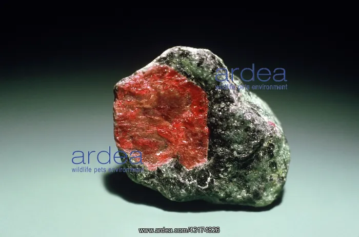 : Corundum (ruby) in zoisite : Corundum (ruby) in zoisite