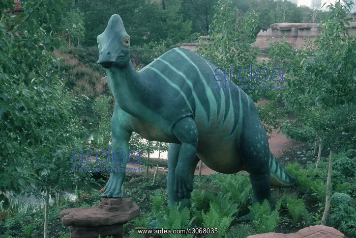 : Corythosaurus : Corythosaurus