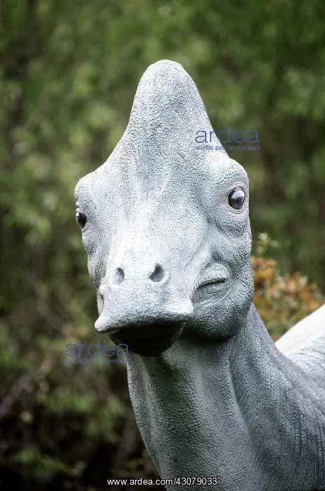 : Corythosaurus : Corythosaurus