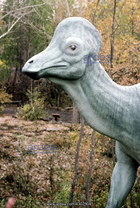 : Corythosaurus : Corythosaurus