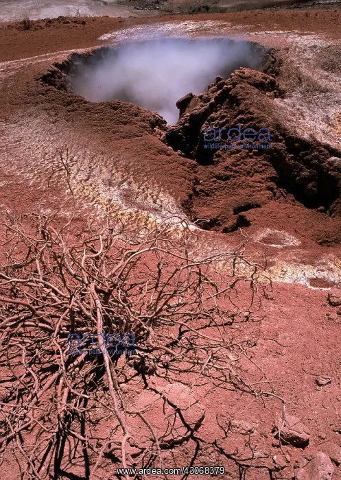 : Coso Geothermal Mudpot : Coso Geothermal Mudpot