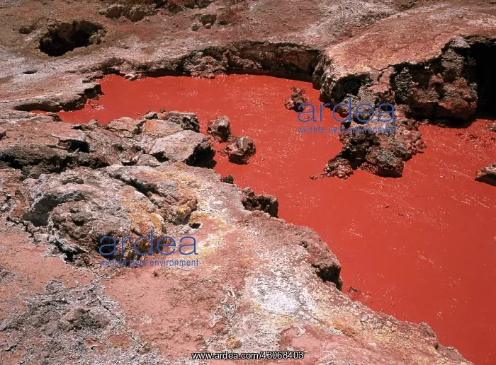 : Coso Geothermal Mudpot : Coso Geothermal Mudpot