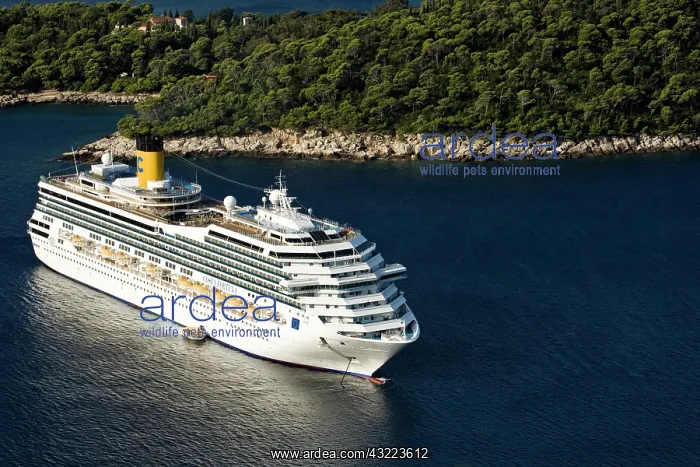 : Costa cruise line, Costa Fortuna cruiseship : Costa cruise line, Costa Fortuna cruiseship