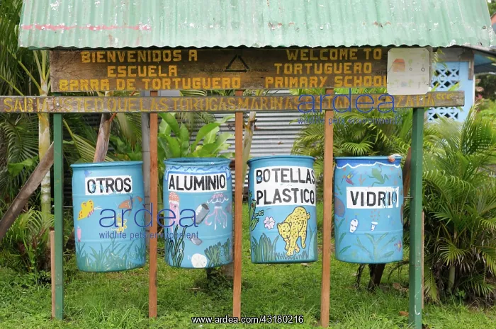 : Costa Rica recycling : Costa Rica recycling
