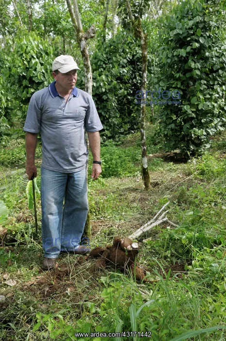 : Costa Rican farmer : Costa Rican farmer