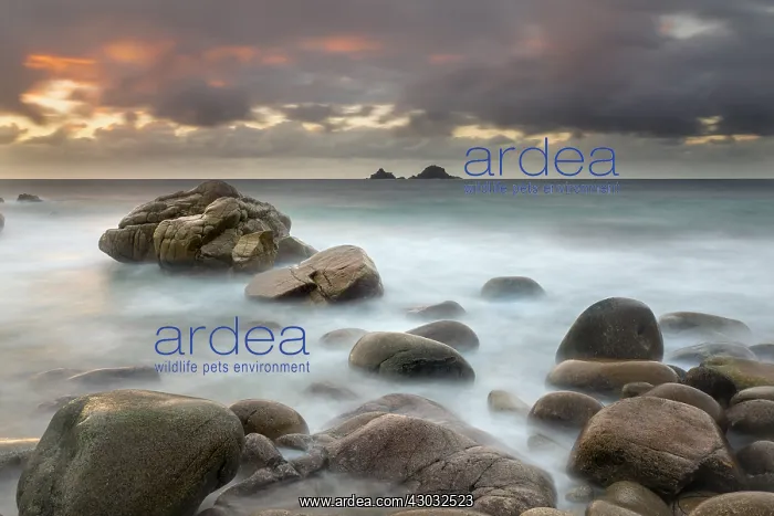 : Cot Valley - Looking to The Brisons - Cornwall - UK : Cot Valley - Looking to The Brisons - Cornwall - UK
