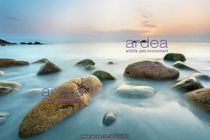 : Cot Valley - Looking to The Brisons - Cornwall - UK : Cot Valley - Looking to The Brisons - Cornwall - UK