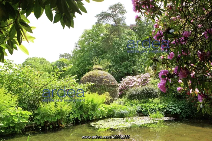  : Cotehele House