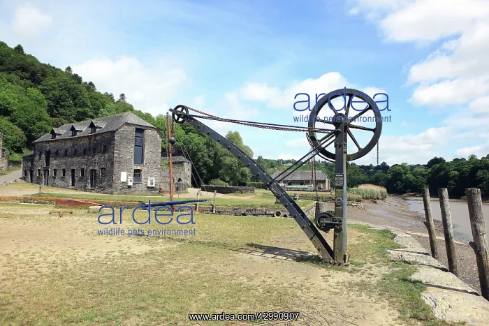 : Cotehele Quay on the River Tamer near Saltash Cornwall with : Cotehele Quay on the River Tamer near Saltash Cornwall with