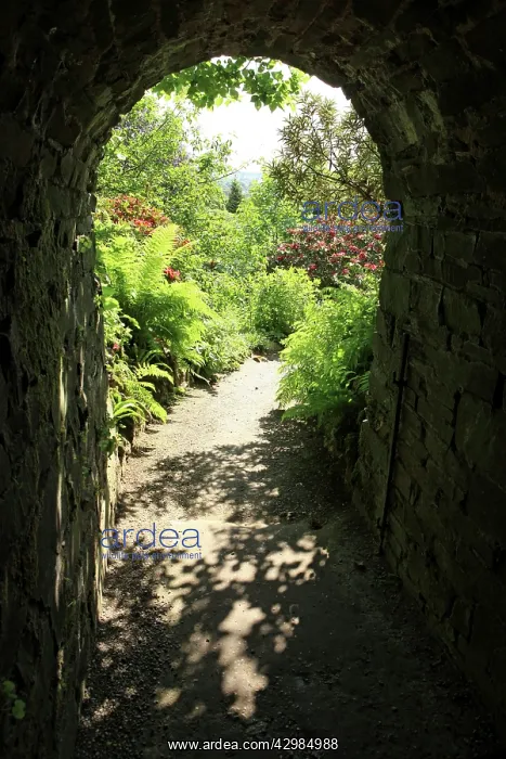 : Cotehele Tudor House Archway and gardens : Cotehele Tudor House Archway and gardens