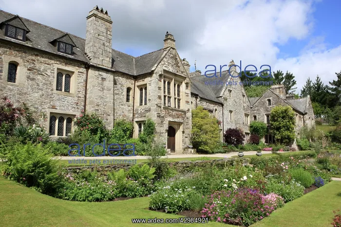 : Cotehele Tudor House and gardens : Cotehele Tudor House and gardens