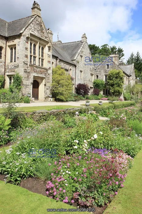 : Cotehele Tudor House and gardens : Cotehele Tudor House and gardens