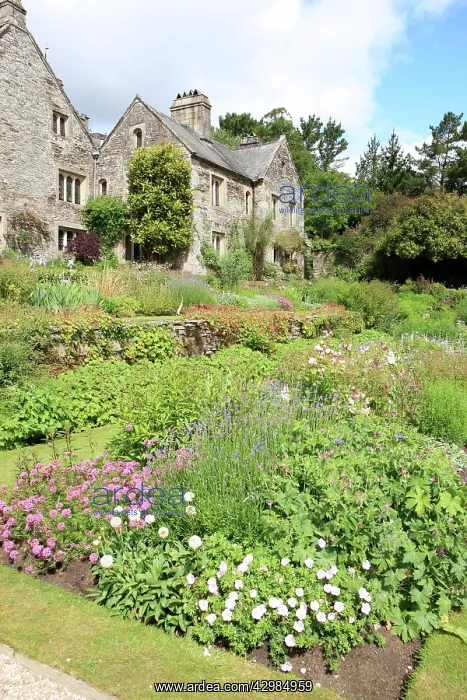 : Cotehele Tudor House and gardens : Cotehele Tudor House and gardens